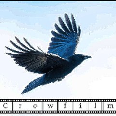 Crowfilm