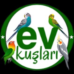 EV KUŞLARI