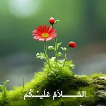 Muhammad Rafique