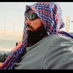 alishaik387