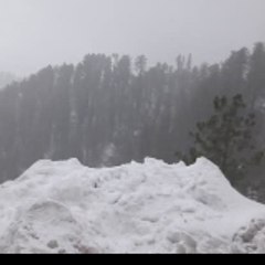 azharrasheed614