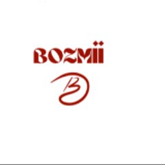 bozmiiservice