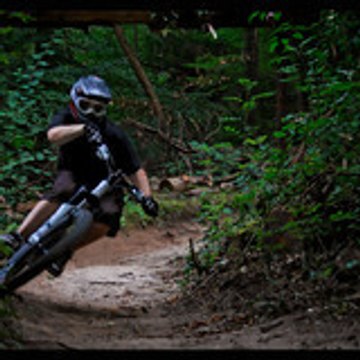 foxman_446
