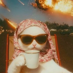 AI Catventures