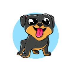 santiago pinti oliva