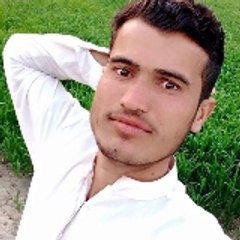 Akbar Ali