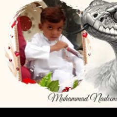 Muhammad Nadeem Muhammad Nadeem