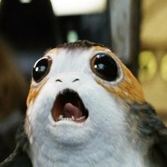 porgwars8