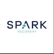 Spark Recovery