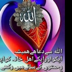 zeenatzahid437