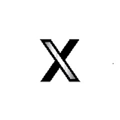 The X Factor