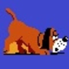 ioggy