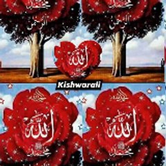 Shahid ali tv
