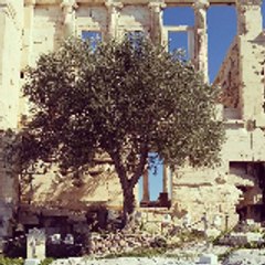 ΔΗΜΗΤΡΑ ΝΤΑΦΛΟΥ