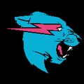 Mr Beast Fan Page