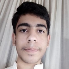 Hassnain Ali Official