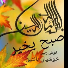 tahir mehmood
