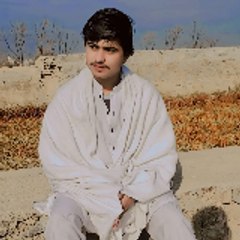 Mohammad9890