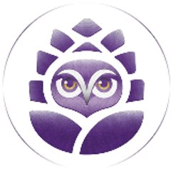 Y A PAS DE HASARD | Mélodie | Médium tarologue