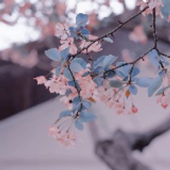Nghe truyện cùng Vàng