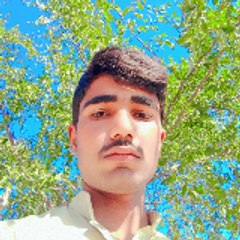 Ali Hassan