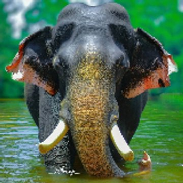 vijeyambaalu