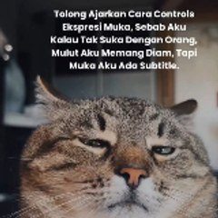 Alskrmrjn