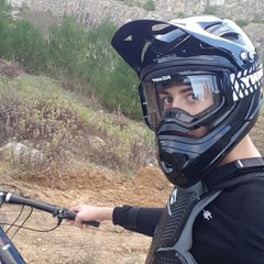 nolan Arene