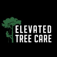 Elevated Tree Care