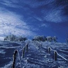 mohamed mohamed oueslati