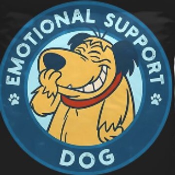 Marry Susan Fan Productions