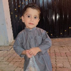 Abid Hussain