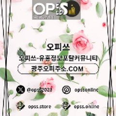 역삼오피 출장마사지안내.COM 역삼OP