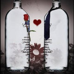absolut_in_love