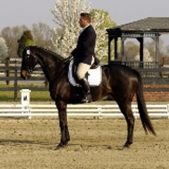 Steve Milne Equestrian