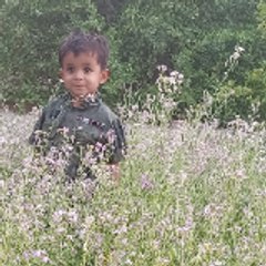 manzoorahmed