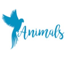 Animals Time