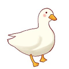 ducki141