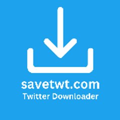 savetwt.com
