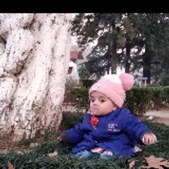 sadaf faisal