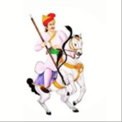 Animals Dance Media