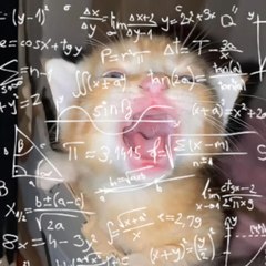 Cikgu S Math
