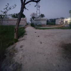 funzun 9