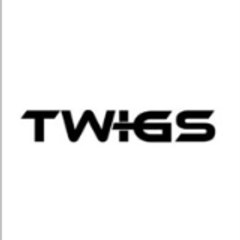 Twigs Advertising LLC