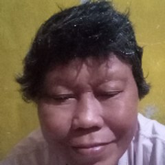 Sanet