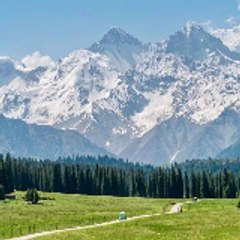 Gia Bảo Giấu Tên 2