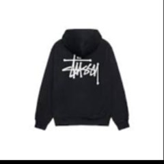 pull stussy