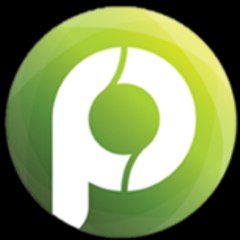panennewstv