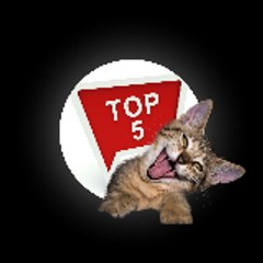 Top5Video