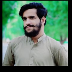 Dr M Arslan